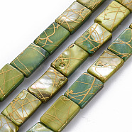 Natural Freshwater Shell Beads Strands, Dyed and Drawbench, Rectangle, Olive Drab, 15x10x3~4mm, Hole: 0.7mm, about 27pcs/strand, 16.14 inch(41cm)(SHEL-N026-167)