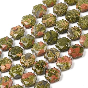 Natural Unakite Beads Strands, with Seed Beads, Faceted Hexagonal Cut, Hexagon, 12x13.5~14x5.5mm, Hole: 1.2mm, about 29pcs/strand, 15.87''(40.3cm)