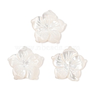 Natural White Shell Carved Beads, Flower, 15x15.5x2mm, Hole: 1mm(SSHEL-I026-12E-06)