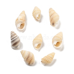 Natural Spiral Shell Beads, Center Drilled, Shell-Shaped, Navajo White, 13~17x8~9.5x6.5~9.5mm, about 3571pcs/1000g(BSHE-G038-06C)