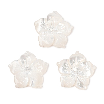 Natural White Shell Carved Beads, Flower, 15x15.5x2mm, Hole: 1mm