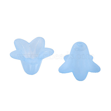 Perles en acrylique transparente(X-PLF018-06)-5