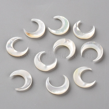 Natural White Shell Beads(SSHEL-Q311-004B-01)-2
