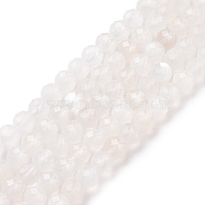 Natural Moonstone Beads Strands, Faceted, Round, Grade A, 3.5~4mm, Hole: 0.5mm, about 107pcs/strand, 15.35 inch(39cm)(G-F736-01)