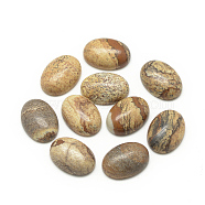 Natural Picture Jasper Cabochons, Oval, 14x10x6mm(G-R415-14x10-42)