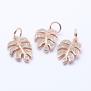 Brass Micro Pave Cubic Zirconia Charms, Tropical Leaf Charms, Monstera Leaf, Lead Free & Nickel Free & Cadmium Free, Rose Gold, 14x9.5x2mm, Hole: 3mm(KK-P133-04RG-NR)