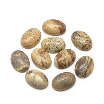 Natural Picture Jasper Cabochons, Oval, 14x10x6mm