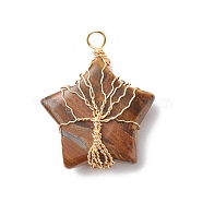 Natural Tiger Eye Pendants, with Golden Tone Copper Wire Wrapped, Star with Tree, 36x30x12mm, Hole: 3.5mm(PALLOY-JF01634-03)