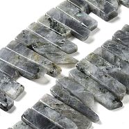 Natural Labradorite Beads Strands, Top Drilled Beads, Rectangle, 24~62x8~14x4~9mm, Hole: 1.8mm, about 34~39pcs/strand, 15.04''~15.51''(38.2~39.4cm)(G-L551B-06)