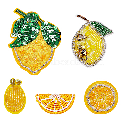 5Pcs 5 Styles Computerized Embroidery Cloth Iron on/Sew on Patches, Costume Accessories, Appliques, Lemon, 22~89x24~67x3~7mm, 1pc/style(PATC-WR0001-29)