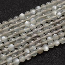 Natural Grey Moonstone Beads Strands, Grade AA, Round, Gray, 6mm, Hole: 0.8mm, about 68pcs/strand(G-F306-07-6mm)