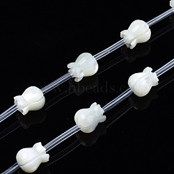 Natural Trochid Shell/Trochus Shell Beads Strands, Bleach, Lucky Bag, White, 7.5x6.5mm, Hole: 0.6~0.8mm, about 20pcs/strand, 14.25 inch(36.2cm)(SSHEL-S278-128)