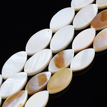 Natural Freshwater Shell Beads Strands, Horse Eye, Seashell Color, 13x6.5x2.5mm, Hole: 0.7mm, 15.08''(38.3cm)
