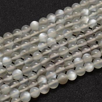 Natural Grey Moonstone Beads Strands, Grade AA, Round, Gray, 6mm, Hole: 0.8mm, about 68pcs/strand