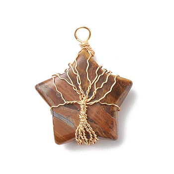 Natural Tiger Eye Pendants, with Golden Tone Copper Wire Wrapped, Star with Tree, 36x30x12mm, Hole: 3.5mm
