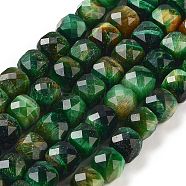 Natural Tiger Eye Dyed Beads Strands, Faceted, Cube, Sea Green, 7x8x7mm, Hole: 1mm, about 47~48pcs/strand, 13.35~13.46''(33.9~34.2cm)(G-H028-A01-01)