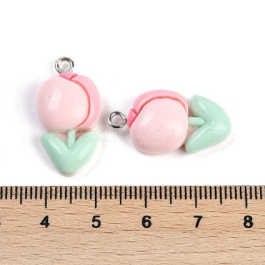 Resin Pendants(RESI-I061-04A)-3