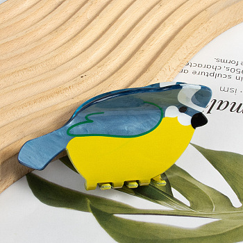 Bird Shape PVC Claw Hair Clips, DIY Hair Accessories, Colorful, 52x80x35mm