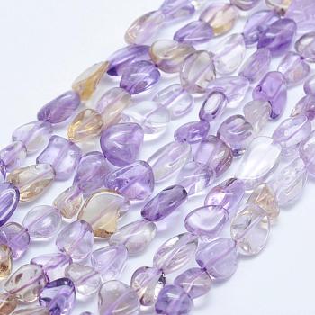 Natural Ametrine Beads Strands, Tumbled Stone, Nuggets, 8x5mm, Hole: 1mm, 15.3 inch~15.7 inch(39~40cm)