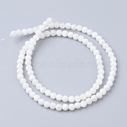 Natural Freshwater Shell Bead Strands, Round, 4mm, Hole: 0.5mm, about 99pcs/strand, 15.7 inch(X-SHEL-S249-29)