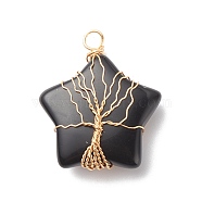 Natural Obsidian Pendants, with Golden Tone Copper Wire Wrapped, Star with Tree, 36x30x12mm, Hole: 3.5mm(PALLOY-JF01634-04)