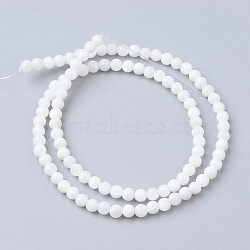 Natural Freshwater Shell Bead Strands, Round, 4mm, Hole: 0.5mm, about 99pcs/strand, 15.7 inch(X-SHEL-S249-29)