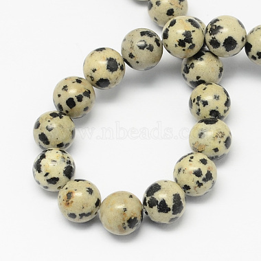 Natural Dalmatian Jasper Stone Bead Strands(G-R193-14-4mm)-2