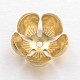 Brass Caps(X-KK-E674-05G)-1