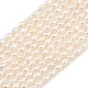brins de perles de culture d'eau douce naturelles(PEAR-F020-17)-2