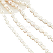 4 Strands 4 Styles Natural Cultured Freshwater Pearl Beads Strands, Rice, Seashell Color, 6.5~13x5~15mm, Hole: 0.8mm, about 16~22pcs/strand, 6.85 inch~7.68 inch(17.4cm~19.5cm), 1 strand/style(PEAR-NB0001-87)