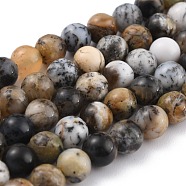 Natural African Opal Beads, Round, 10mm, Hole: 1mm, about 39pcs/strand, 155.51''(395cm)(G-P446-01C)