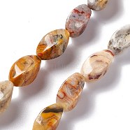 Natural Crazy Agate Beads Strands, Twist, 17x8x8mm, Hole: 1mm, about 24pcs/strand, 15.55''(39.5cm)(G-L243A-20)