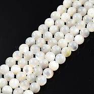 Natural White Shell Bead Strands, Round, 5mm, Hole: 1mm, about 79~81pcs/strand, 15.16 inch~15.75 inch(38~40cm)(X-SSHEL-N003-144D-01)