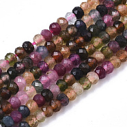 Natural Tourmaline Beads Strands, Faceted Rondelle, 3x2mm, Hole: 0.6mm, about 190pcs/Strand, 15.55 inch(39.5cm)(G-R460-019)