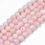 Natural Freshwater Shell Beads Strands, Dyed, Round, Pink, 4mm, Hole: 0.8mm, about 97~99pcs/strand, 14.88 inch~15.16 inch(37.8~38.5cm)(SHEL-N003-24-B09)