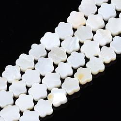 Natural Freshwater Shell Beads Strands, Flower, Seashell Color, 8~9x8~9x2.5mm, Hole: 0.8mm, about 47~48pcs/strand, 14.88 inch~15.24 inch(37.8cm~38.7cm)(SHEL-S278-078A-01)