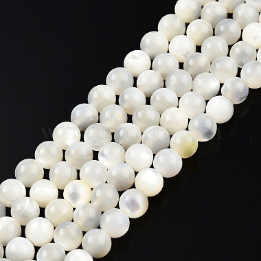 Round White Shell Beads