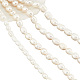 4 Strands 4 Styles Natural Cultured Freshwater Pearl Beads Strands(PEAR-NB0001-87)-1