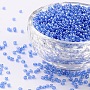 2mm Cornflower Blue Glass Beads(SEED-OL0003-10-2mm-10)
