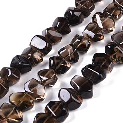 Natural Smoky Quartz Beads Strands, Nuggets, Grade A, 11~13x15.5~18.5x9.5~12.5mm, Hole: 1mm, 16.26~16.34''(41.3~41.5cm)(G-B072-C01-02)