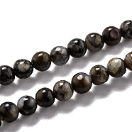 Natural Glaucophane Beads Strands, Round, 4.5mm, Hole: 0.7mm, about 90pcs/strand, 15.31''(38.9cm)(G-O199-01A)