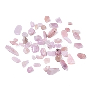 Natural Kunzite Beads, No Hole/Undrilled, Chip, 8~24x5.5~7x2.5~7mm, about 793pcs/500g(G-I304-05)