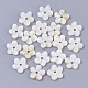Perles de coquillages naturels d'eau douce(SHEL-T017-04)-1