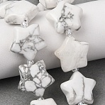 Natural Howlite Beads Strands, Star, with Seed Beads, 15~15.5x16~16.5x6.5~7mm, Hole: 1.4mm, about 25pcs/strand, 15.75''~16.14''(40~41cm)(G-K359-E20)