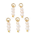 Natural Cultured Freshwater Pearl Pendants, Potato Beaded Charms with Brass and 304 Stainless Steel Findings, Floral White, Golden, 15x4.5x4mm, Hole: 3mm(PALLOY-JF05479)