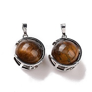Natural Tiger Eye Pendants, Ball Sphere Charms with Platinum Tone Brass Findings, 24x21x18mm, Hole: 8x5mm(G-A212-01P-03)