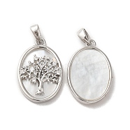 Brass Shell Pendants, with Cubic Zirconia, Oval with Tree of Life Pattern, Platinum, 21.5x14x3mm, Hole: 3.4x2mm(KK-M243-34P)