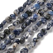 Natural Blue Spot Jasper Beads Strands, Nuggets, Tumbled Stone, 7~13x4.5~10x4.5~10mm, Hole: 1.2mm, about 44~46pcs/strand, 15.08~16.14 inch(38.3~41cm)(G-P497-01E-67)