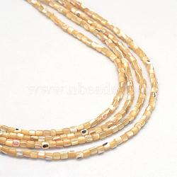 Natural Trochid Shell/Trochus Shell Bead Strands, Oval, Wheat, 3x3mm, Hole: 1mm, about 135~140pcs/strand, 15.7 inch(SSHEL-R037-23)