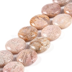 Natural Cherry Blossom Agate Beads Strands, Flat Round, 20x20x7.5mm, Hole: 1.2mm, about 20pcs/strand, 15.75''(40cm)(G-L246-24)